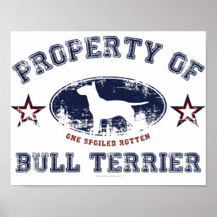 Poster Bull Terrier