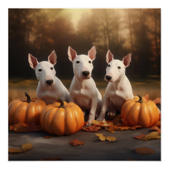 Poster Bull Terrier Chiot Automne Citrouille de plaisir (Devant)
