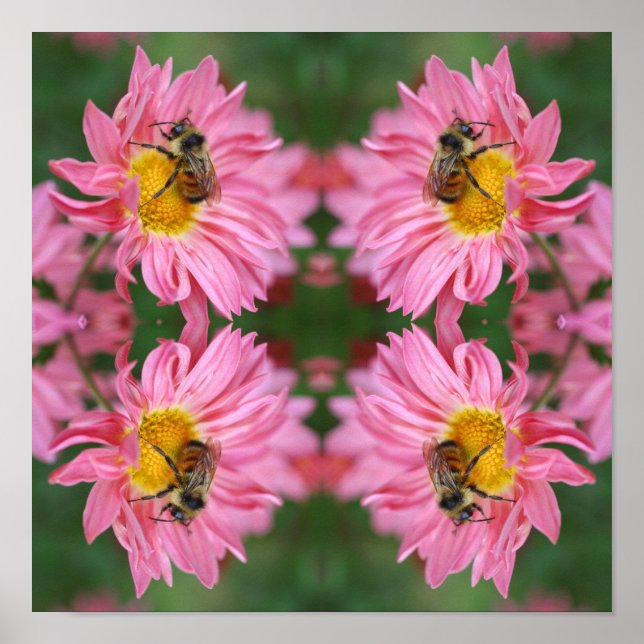 Poster Bumble Bee On Rose Daisy Flower Abstrait (Devant)