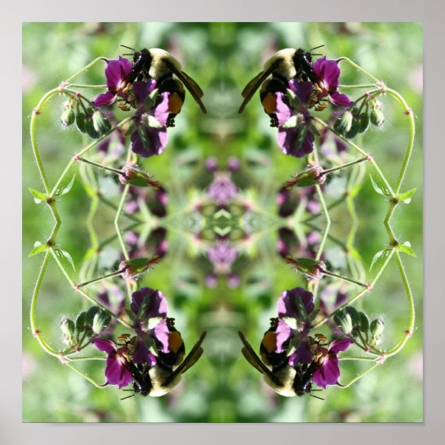 Poster Bumble Bee sur le miroir de fleurs rose Abstrait (Devant)