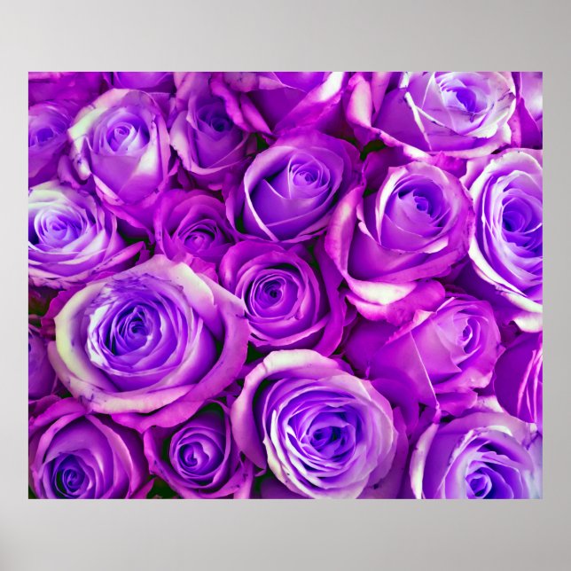 Poster Bunch Rose arrière - plan Saint Valentin Symbole d (Devant)