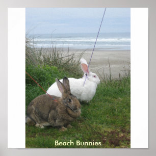 Poster Bunnies Beach