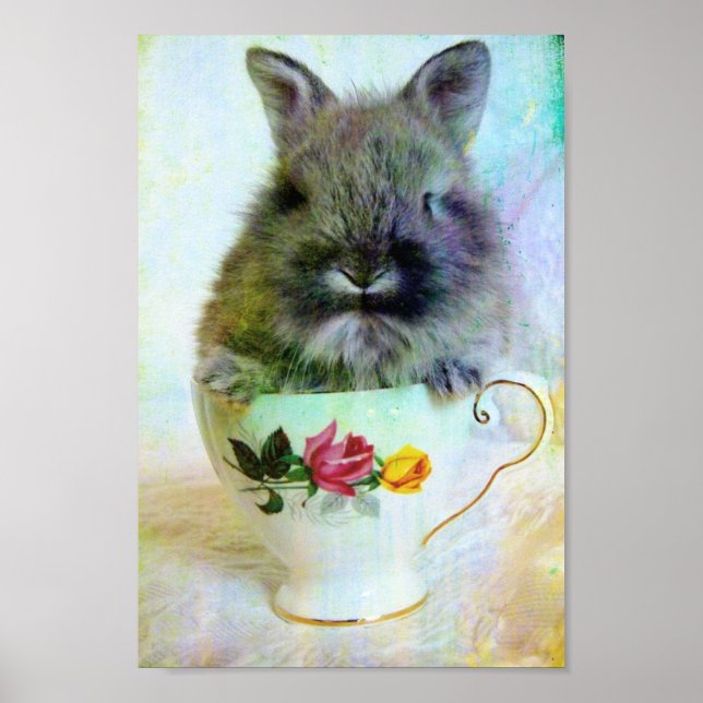 Poster Bunny Teacup (Devant)