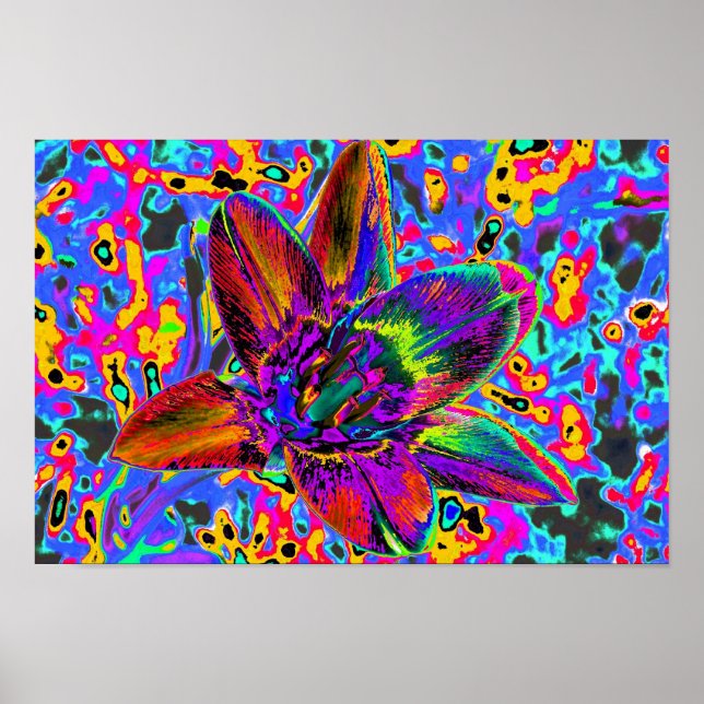 Poster Bunte Blume (Devant)
