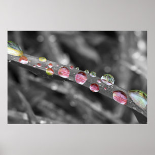 Poster Bunte Tropfen-colorful drops-gouttes colorées