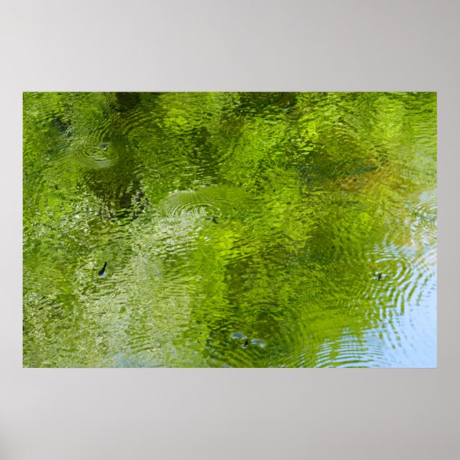 Poster Burets d'eau dans le parc national de Laurel Hill (Devant)