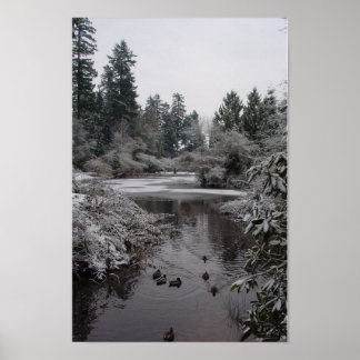 Poster Burnaby's Central Park : Demi-gelé Lower Pond