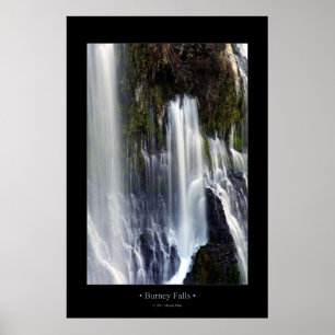 Poster Burney tombe (la couleur)