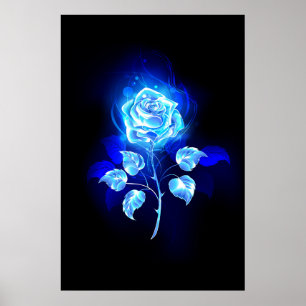Poster Burning Blue Rose