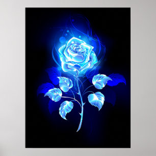Poster Burning Blue Rose