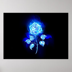 Poster Burning Blue Rose