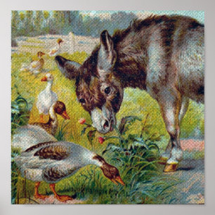 Poster Burro and Geese