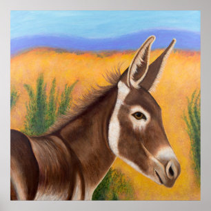 Poster Burro du désert