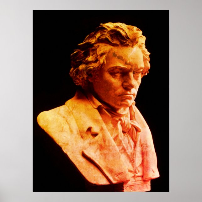 Poster Buste de Ludwig (Devant)