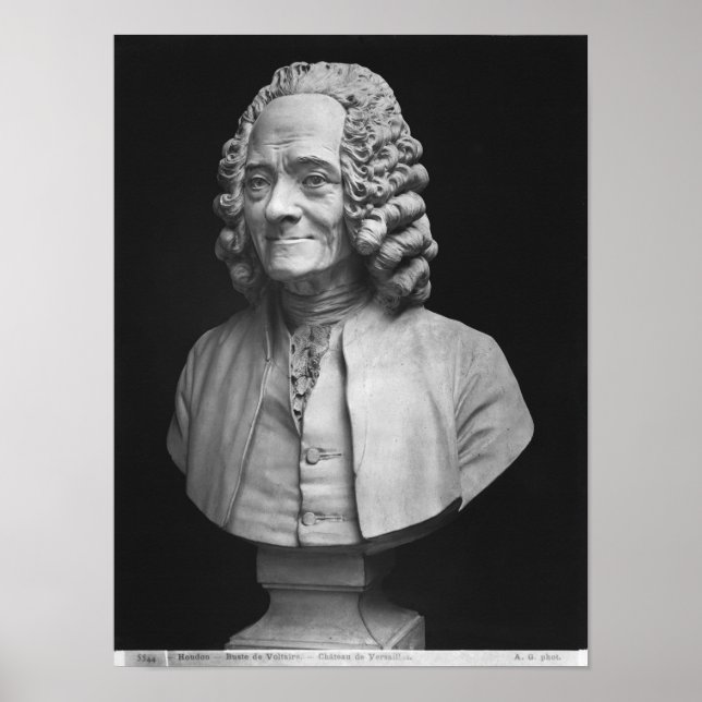 Poster Buste de Voltaire (Devant)