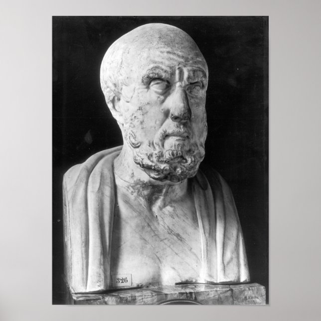Poster Buste des Hippocrates (Devant)