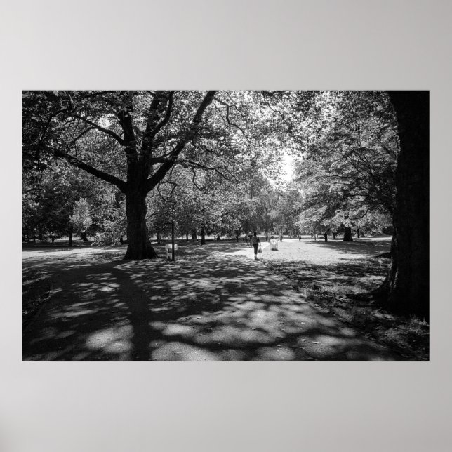 Poster Bute Park en été après-midi. Cardiff, Pays de Gall (Devant)