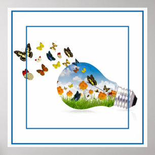 Poster-Butterflies 24" x 24" Poster