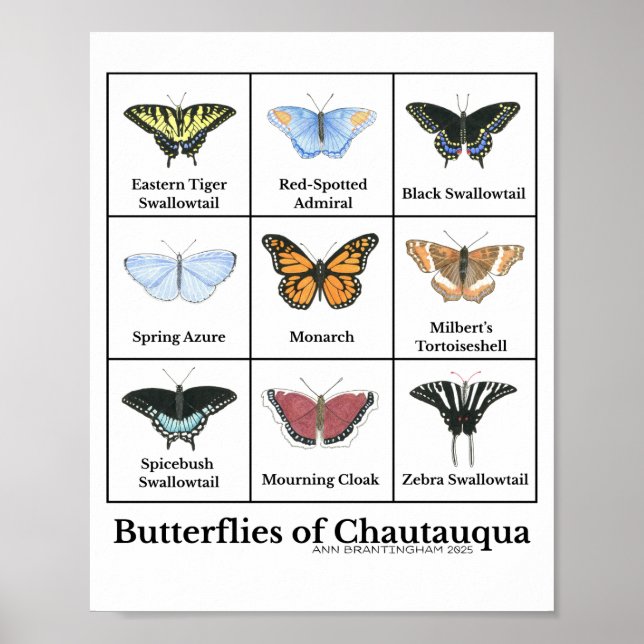 Poster Butterflies of Chautauqua (Devant)