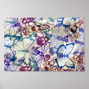 Poster butterflits and other insects