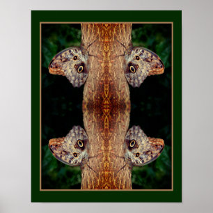Poster Butterfly Brown Gros plan Nature Abstraite