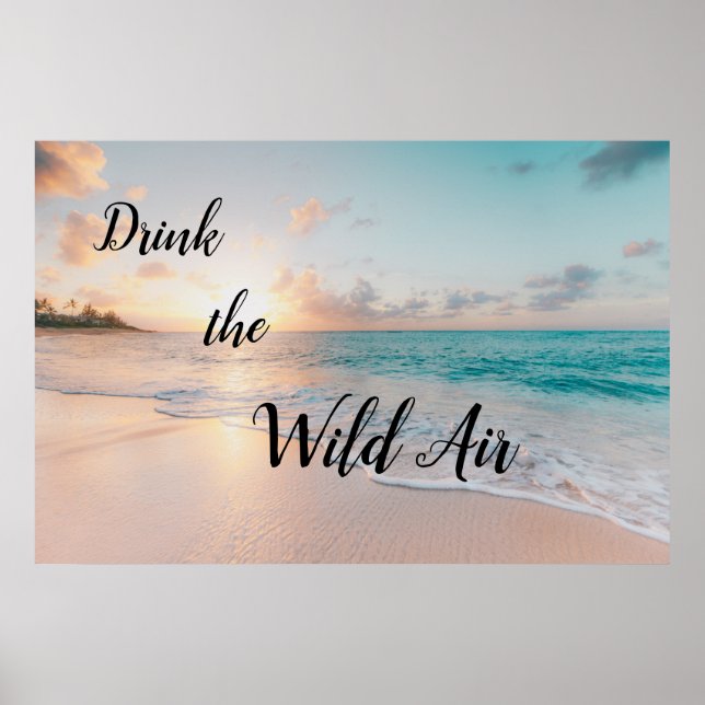 Poster Buvez l'affiche Wild Air (Devant)