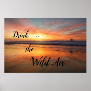 Poster Buvez l'affiche Wild Air