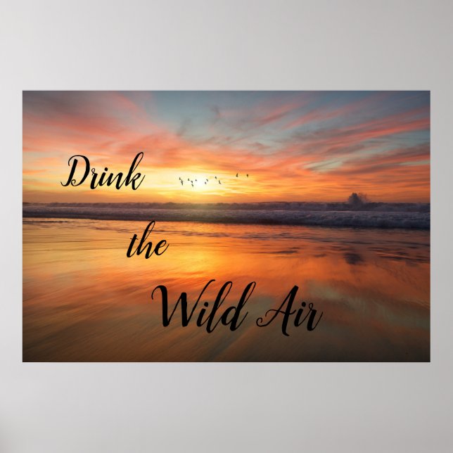 Poster Buvez l'affiche Wild Air (Devant)