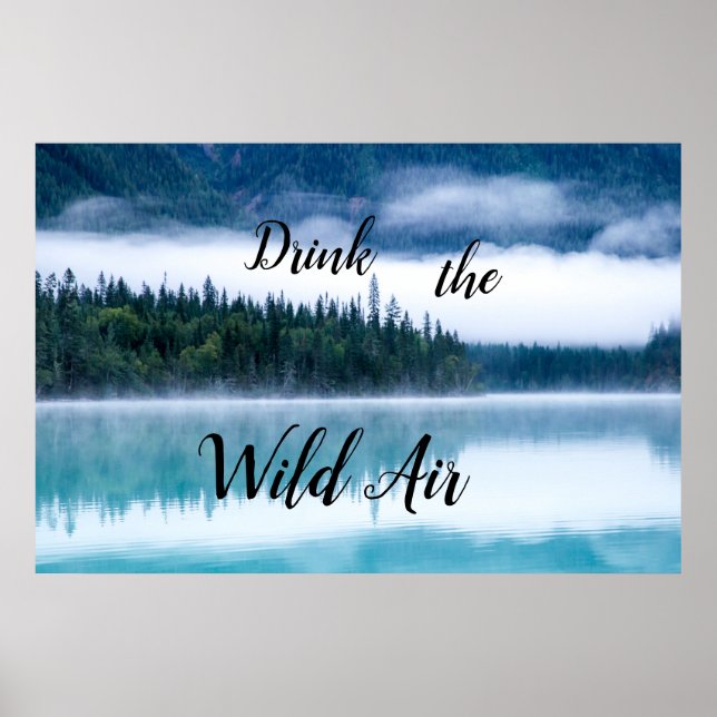 Poster Buvez l'affiche Wild Air (Devant)