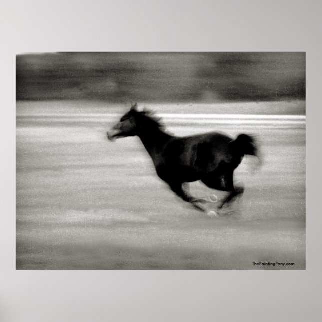 Poster BW Galloping Horse (Devant)