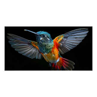 Poster Bye Bye Birdy