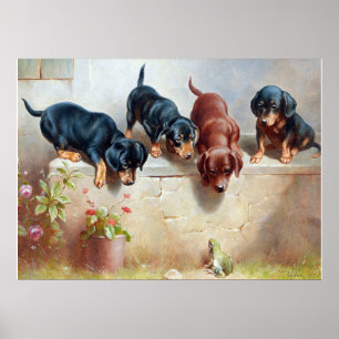 Poster C. Reichert Peinture Chiots et grenouilles de Dach