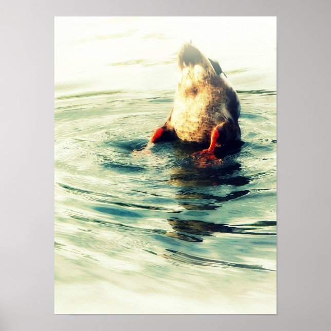 Poster Ça Finit ! Bouton de canard (Devant)