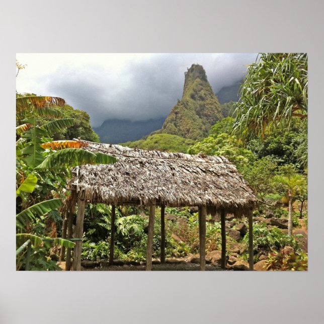 Poster Cabine dans le Parc d'Etat de la Vallée d'Iao, Mau (Devant)