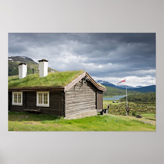 Poster Cabine de bille de toiture en Norvège (Devant)