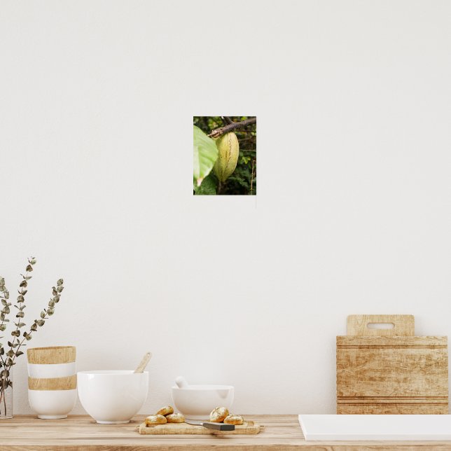 Poster cabosse de cacao (Cuisine)