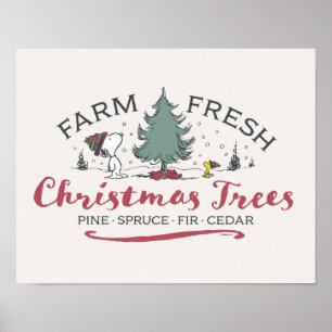 Poster cacahuètes Arbres de Noël frais de ferme
