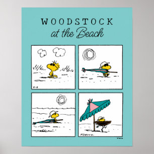 Poster cacahuètes   Bois de bois à la plage