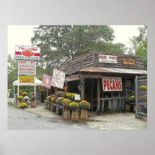 Poster cacahuètes bouillies VOUS VENEZ