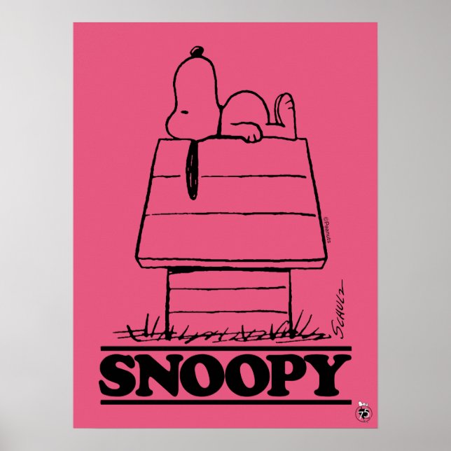 Poster cacahuètes | Snoopy Le Secret À La Vie (Devant)