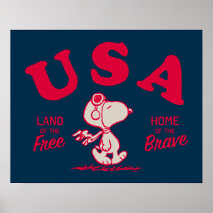 Poster cacahuètes   Snoopy USA Land of the Free