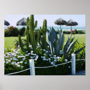 POSTER CACTI À ROSARITO PLAGE MEXIQUE