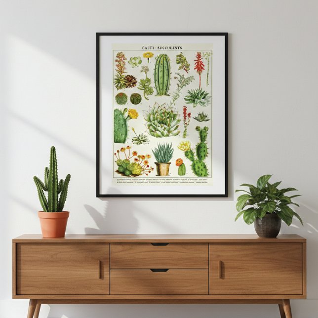 Poster Cacti Succulent Scientific Chart (Créateur téléchargé)