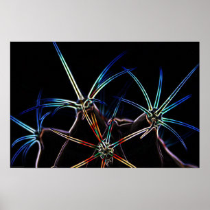Poster Cactus 1 wapcna