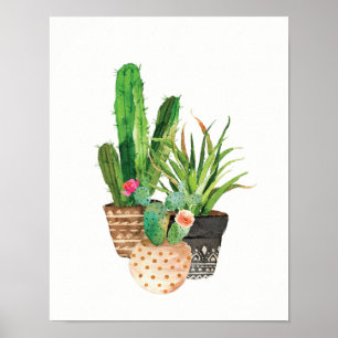 Poster Cactus d'aquarelle et groupe succulent