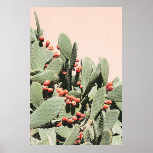 Poster Cactus de poire de Prickley
