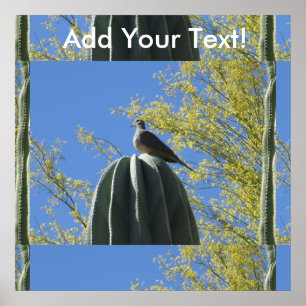 Poster Cactus Dove