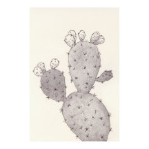 Cactus du désert