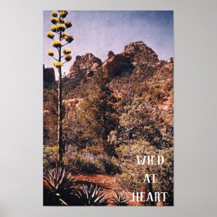 Poster Cactus du désert sauvage Explorez la nature Sauvag