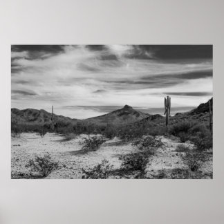 Poster Cactus en sable blanc